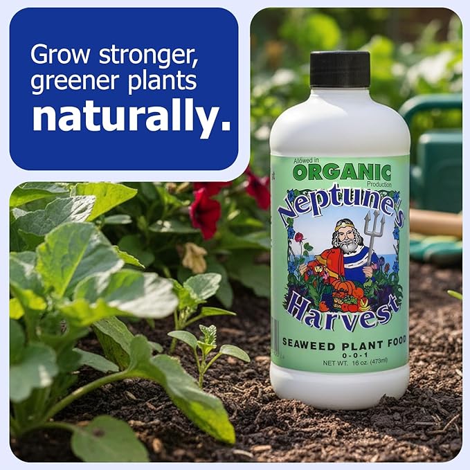 Neptune’s Harvest Seaweed Plant Food (0-0-1) - Multi-Purpose Seaweed Organic Liquid Fertilizer - Indoor & Outdoor Plant Fertilizer for Lawns, Gardens, Vegetables, & Flowers (Pint)