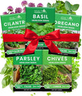 5 Herb Seeds Variety Kit, Oregano, Cilantro, Parsley, Basil, Chives