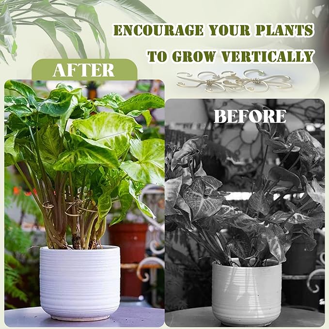 6 Pcs Plant Stem Support, Metal Monstera Plant Support Climbing Plant Stem Holder for Indoor Plant Care Stabilization and Support