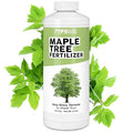 Maple Tree Fertilizer – Liquid Plant Food for Vibrant Color, Stronger Roots & Healthy Growth, 32 oz