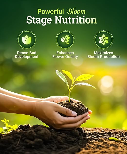 FoxFarm Cultivation Nation Bloom Fertilizer, 0-5-4 - Part 3 of FoxFarm 3-Part Feeding Program for Bud Development - Liquid Plant Food for Transition to Flowering and Harvest - 1 Pint