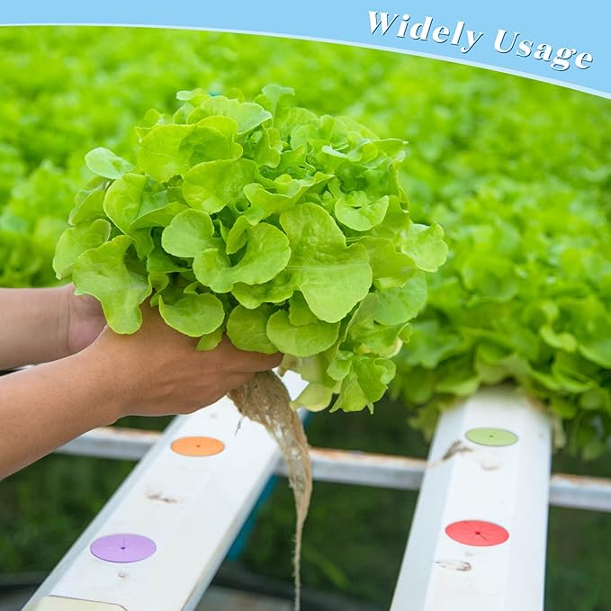 Lallisa 360 Pcs Clone Collars 2 Inch Foam Inserts for Hydroponic Cloning Machines Fits 2" Net Pots Reusable Collars for Hydroponics Plant Germination in DIY Cloner and Clone Machines (Multicolor)