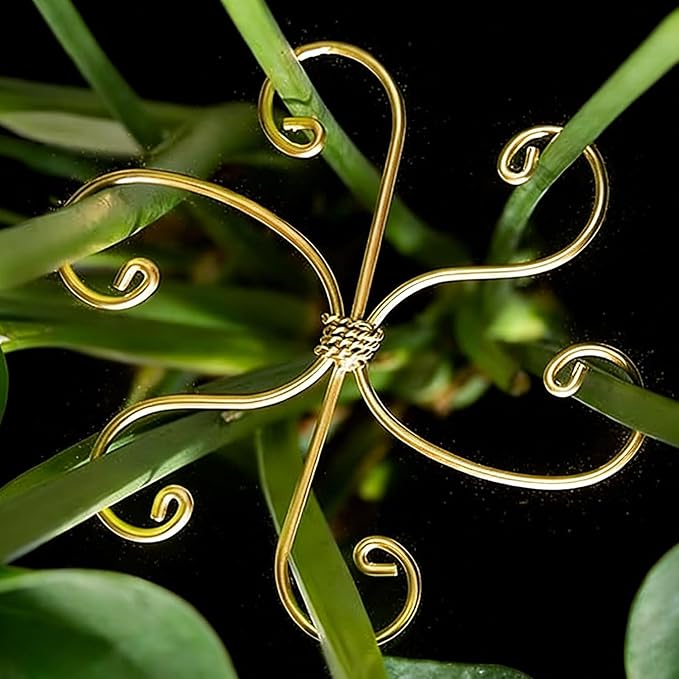 YAPROMO 4PCS Iron Monstera Plant Support- Plant Stakes for Indoor Plants, 4.1IN Plant stem Support, Prevents Falling for Turtle Shell Bamboo & Houseplants