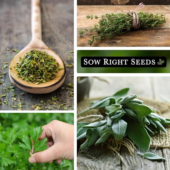 Sow Right Seeds - Italian Herb Garden Seed Collection for Planting - Basil, Oregano, Parsley, Sage, and Thyme - Non-GMO Heirloom Packet with Instructions to Grow a Kitchen Garden Indoors or Outdoors