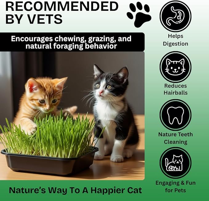 Cat Grass Seeds for Growing | 4 Way Blend, Rye, Wheat, Oats and Barley | Made in USA | Safe Non-GMO Pet Grass for Cats & Pets | Fast Sprouting (2 Pounds)