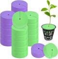 20-Pack Cloning Collars Inserts, Hydroponics Sponge Systems Cloning DIY Foam Cloner Inserts Fits 2" Net Pots for Hydroponic/Clone Machines/Plant Germination [Purple, Green]