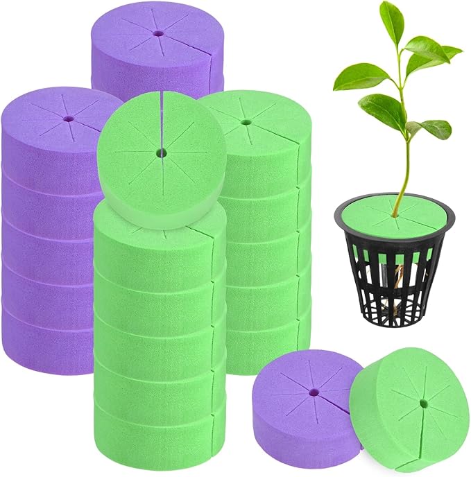 20-Pack Cloning Collars Inserts, Hydroponics Sponge Systems Cloning DIY Foam Cloner Inserts Fits 2" Net Pots for Hydroponic/Clone Machines/Plant Germination [Purple, Green]