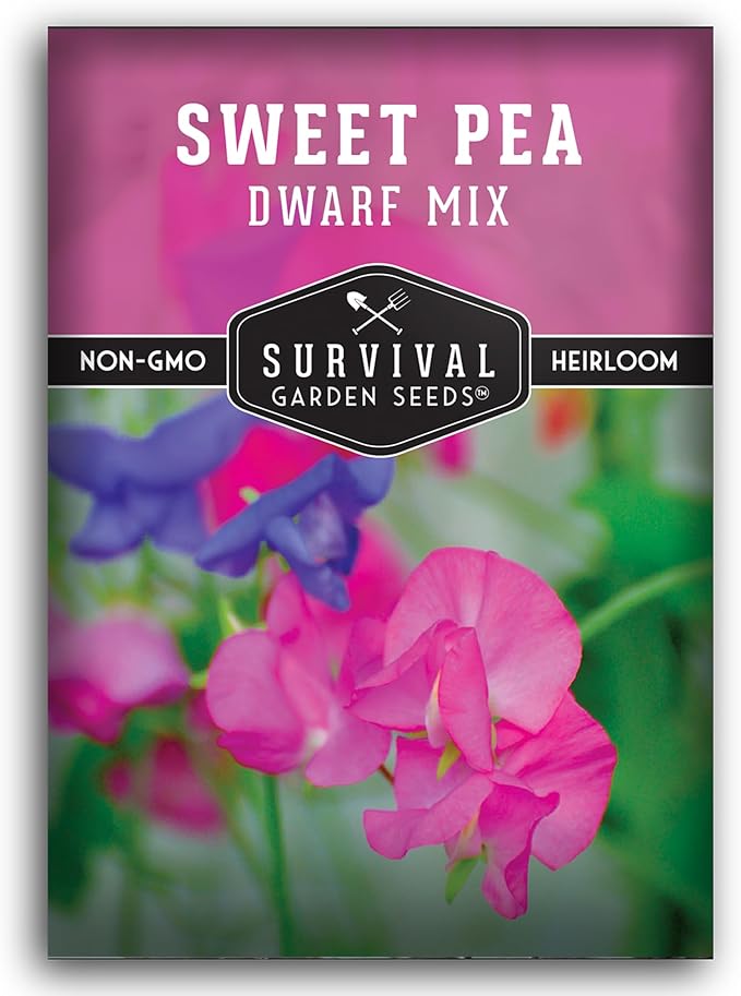 Dwarf Sweet Pea Seeds for Planting - Compact Bush Style Sweet Pea Flowers for Containers and Small Gardens, Fragrant Flower Variety for Outdoor Growing – Survival Garden Seeds (1 Pack)