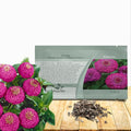 Outsidepride Purple Lilliput Zinnia Seeds - 1000 Pieces Annual, Drought Tolerant Flower Seeds for Planting Outdoors w/Pom-Pom-Like Compact Double Blooms for Borders & Containers, Pollinator Friendly