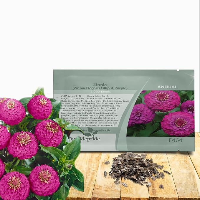 Outsidepride Purple Lilliput Zinnia Seeds - 2000 Pieces Annual, Drought Tolerant Flower Seeds for Planting Outdoors w/Pom-Pom-Like Compact Double Blooms for Borders & Containers, Pollinator Friendly