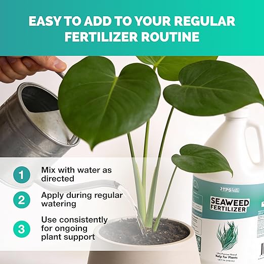 Seaweed Fertilizer – Organic Kelp Plant Food for All Plants, Boosts Nutrient Uptake for a Lush, Vibrant Garden, 32 oz