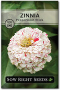 Sow Right Seeds - Peppermint Stick Zinnia Seeds for Planting - Non-GMO Heirloom Packet to Plant & Grow an Outdoor Home Flower Garden - Beautiful, Giant Double Blooms to Cut and Come Again - Annual (1)