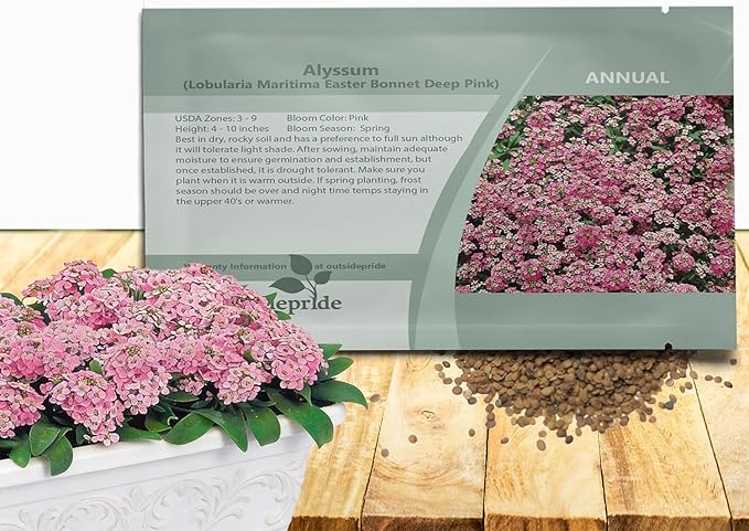 Outsidepride Easter Bonnet Deep Pink Alyssum Seeds - 1000 Pcs Annual, Drought-Tolerant & Pollinator-Friendly Ground Cover Seeds w/Fragrant Honey Blooms for Low-Growing Xeriscaping & Outdoor Planting