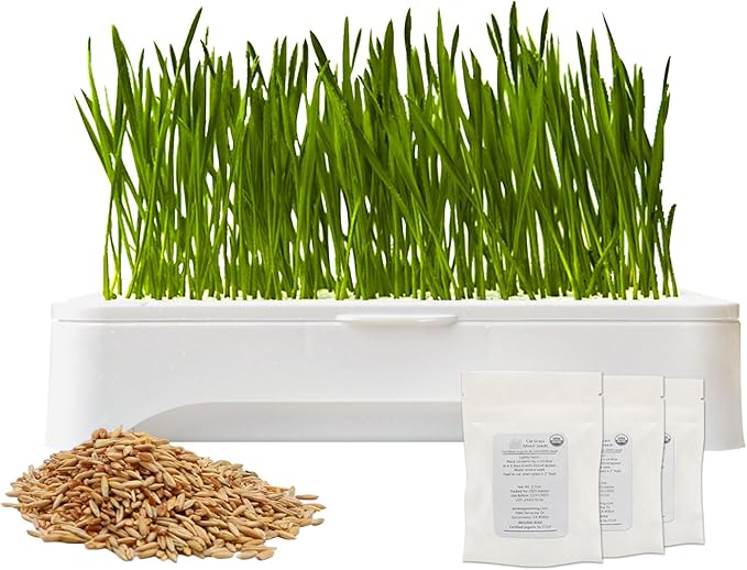 The Environet Cat Grass for Indoor Cats, Cat Grass Kit with Organic Seeds Mix and Hydroponic Sprout Tray, 100% Non-GMO, Hairball Control, Digestion Support, Ideal Gift for Cat Lovers