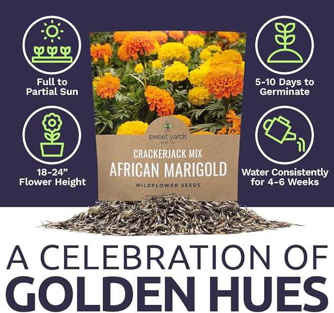 Sweet Yards African Marigold Seeds Mix Crackerjack Mix - Bulk 1 Ounce Packet - Over 10,000 Seeds - Huge Orange and Yellow Blooms - Adaptable to All US Regions - Pollinator Friendly