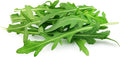 Arugula Seeds, 250+ Heirloom, Non GMO Seeds, Eruca Sativa.