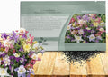Outsidepride Mixed Columbine Seeds - 1000 Pcs Perennial, Easy to Grow Flower Seeds for Planting, Suitable for Pollinator-Friendly Garden, Cut Floral Arrangements, Ground Covers, or Borders