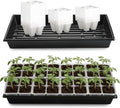 RooTrimmer 5 Pack Heavy Duty 1020 Trays and 40 Pack Clear 4 Cell Seed Starter Trays with Drainage Holes - Reusable Seed Starter Kit for Seed Germination & Plant Propagation (5 Sets)