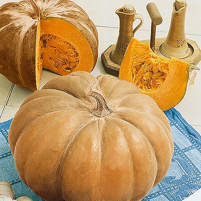 Autumn Buckskin Pumpkin Seeds - Heirloom
