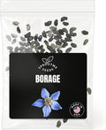 Fall & Winter Borage Seeds for Indoor & Outdoor Planting – 100 Non-GMO Heirloom USA-Grown Edible Blue Flowers & Medicinal Herb with High Germination (Borago officinalis)