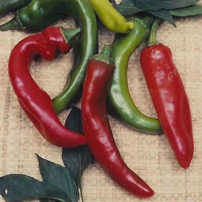 Anaheim Chili Hot Pepper Garden Seeds - 1 Oz - Non-GMO, Heirloom Vegetable Gardening Seeds