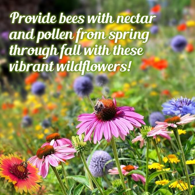 Bee Rescue Wildflower Seed Mix 1oz - Premium Wildflower Seed Mix for Native Bees and Pollinators 1oz