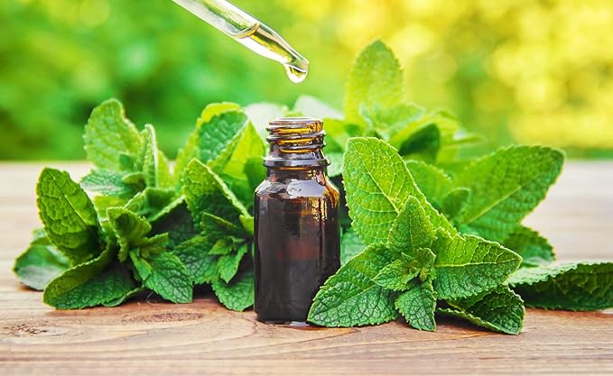 NIKA SEEDS - Seeds Herb Medicinal Peppermint (Mint) - 1000 Seeds