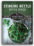 Stinging Nettle Seeds for Planting - Urtica Dioica Medicinal Herb & Edible Perennial - Common Nettle for Tea, Cooking & Wellness - Heirloom Non-GMO - Survival Garden Seeds (1 Pack)