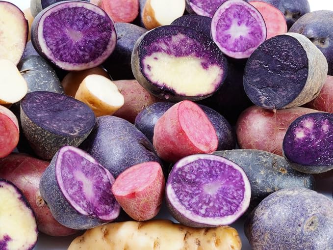 Mixed Color Potato Seeds for Planting Outdoors, 60 Seeds True Potato Seeds, Red Yellow Purple