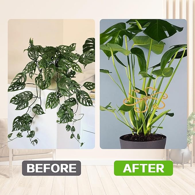 Iron Monstera Plant Support, Plant Stakes and Supports for Indoor Plants, Climbing Plant Stem Stabilizer