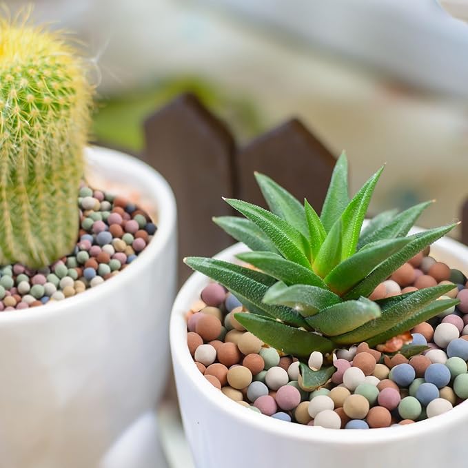 5.5 LBS Leca Clay Pebbles for Plants, Expanded Clay Balls Multi Color, Lightweight Hydroponics Growing Media for Succulents Orchids Aquaponics Drainage Potting Mix Decoration(2-6 mm)