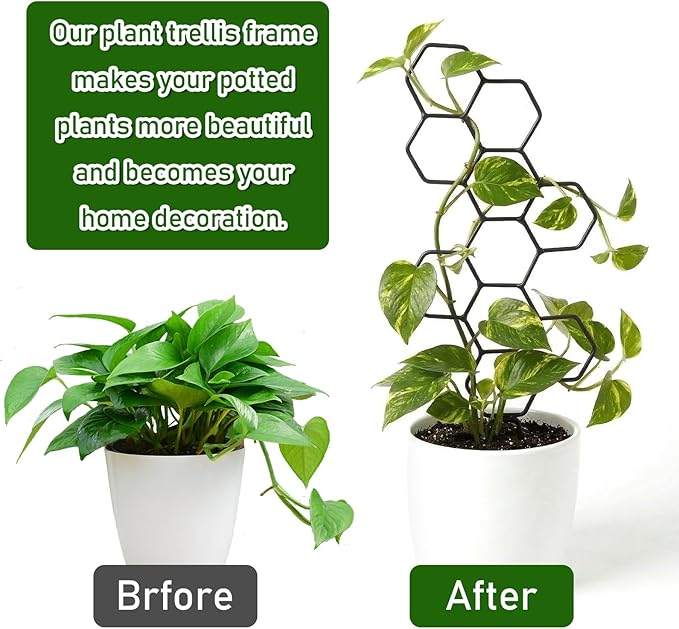 Plant Trellis Indoor, Trellis for Climbing Plants, Hanging Planters for Planting Houseplant Plant Wall, Honeycomb Pothos Planting Climber Support for Flower Indoor Plants Supports(Black)