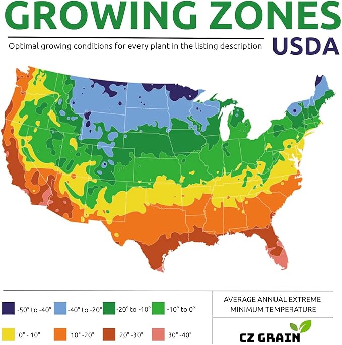 Winter Wheat Cover Crop Seeds for Planting- Non-GMO Wheat - Deer & Turkey Food Plot Seed - Cold Hardy Cover Crop (5 Pounds)