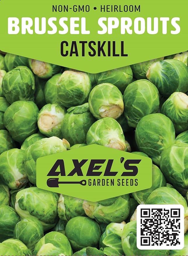 Catskill Brussel Sprout Seeds for Planting – Heirloom Non-GMO Brussel Sprout Seed Packets with Instructions to Plant & Grow for Home Outdoor Vegetable Garden – 3 Packets