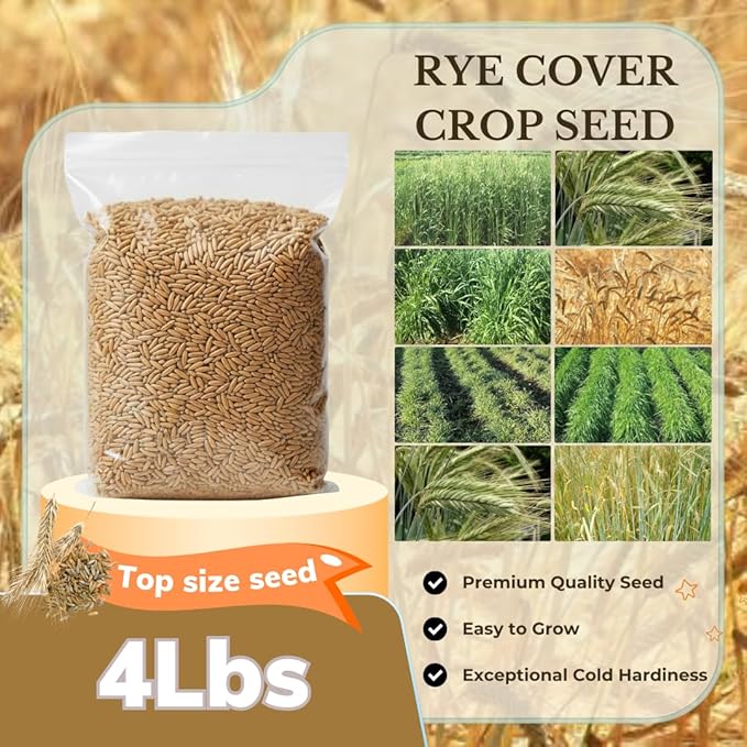 4 Lbs Rye Grass Seeds for Lawn, Rye Cover Crop Seeds for Outdoor Planting, Fast-Growing Grass Seed