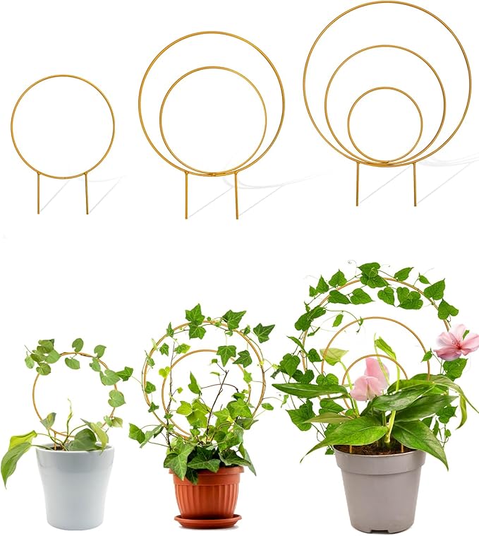 Unique Round Hoya Trellis, 3 Pcs Different Small Houseplant Trellis for Indoor Climbing Plant, Garden Trellis Plant Support for Potted Ivy and Flowers Outdoor(Gold)