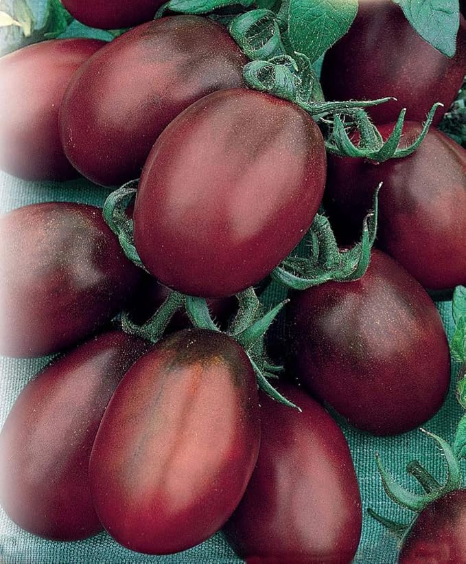 NIKA SEEDS - Seeds Vegetable Black De Barao Tomato - 40 Seeds