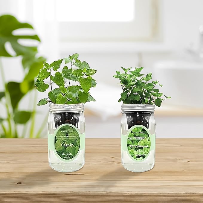 2-Pack Hydroponic Mason Jar Herb Garden Kit, Indoor Herb Garden Self-Watering Starter Kit, New Christmas Gift for Mom (Catnip,Peppermint)