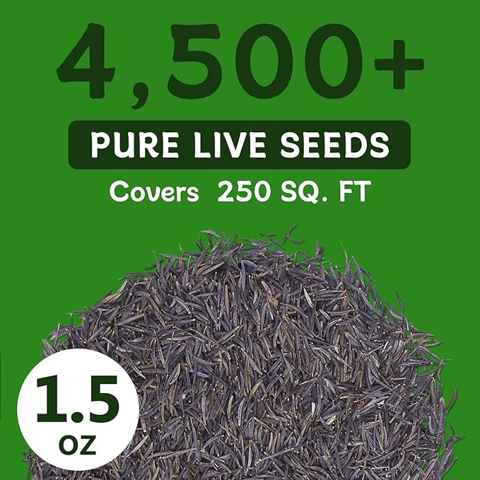 Cosmos Seeds for 2026 (4,500+ Seeds) - Crazy Blend Mix Color, Cosmos Flower Seeds for Planting Garden, No Filler, 1.5 Oz Packet, Easy to Grow