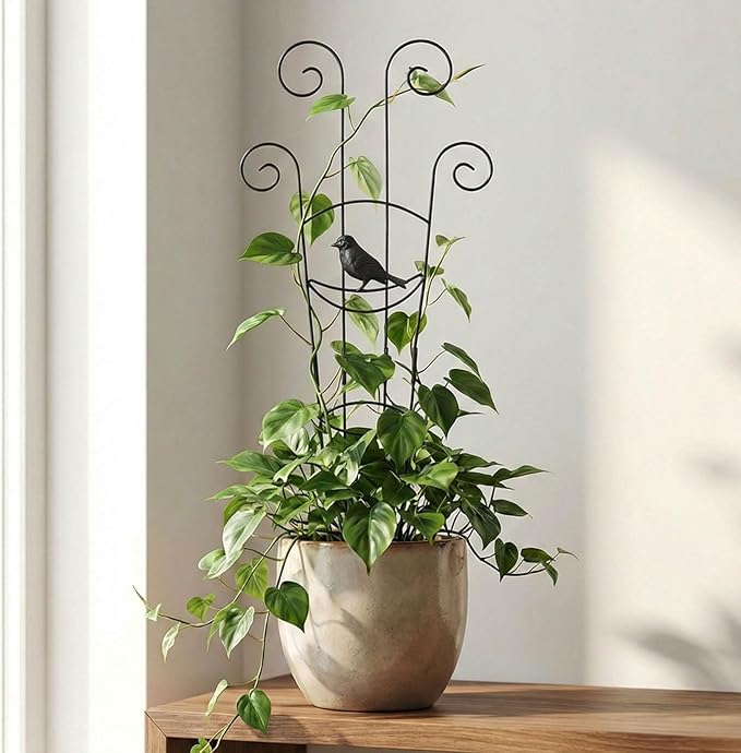 2 Pack Trellis for Climbing Plants Indoor, 30In Monstera Plant Support Structures, Plant Trellis for Potted Plants Stakes, Metal Climbing Support Outdoor for Ivy Pothos Monstera Hoya Flower Vine,Bird