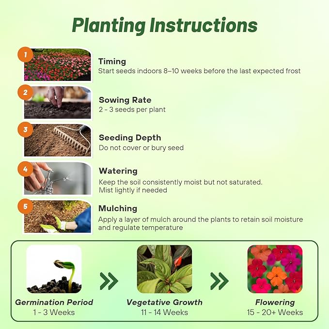 Outsidepride Xtreme Tango Mix Impatiens Flower Seeds - 200 Pcs Annual, Compact & Pollinator Friendly, Impatiens Seeds for Planting w/Vibrant, Abundant Blooms for Shade Gardens & Container Displays