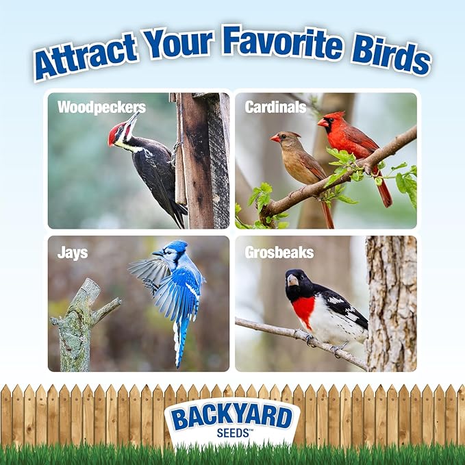 CountryMax Backyard Seeds Woodpecker No Waste Mix Shelled Peanuts Mixed Bird Seed with Sunflower Chips, Pumpkins, Raisins (20 Pounds)