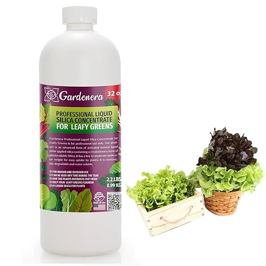 𝐏𝐑𝐎𝐅𝐄𝐒𝐒𝐈𝐎𝐍𝐀𝐋 Liquid Silica Plant Supplement - 32oz - Leafy Greens Liquid Silica Boost Fertilizer - Stronger Stems & Healthy Leaves for Indoor & Outdoor Leafy Greens (Makes 180 Gallons)
