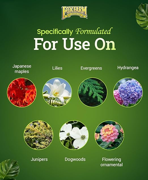 FoxFarm Happy Frog Japanese Maple Fertilizer - Supports Vegetative Growth & Strong Branch Development - 4-3-4 Blend with Soil Microbes & Mycorrhizal Fungi for Low pH Feeders - 4lb, 2 Pack