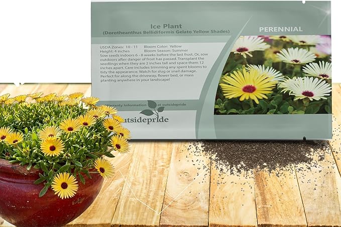 Outsidepride Gelato Yellow Ice Plant Seeds - 5000 Pcs Perennial, Drought Tolerant Ground Cover Seeds for Planting Vibrant Trailing Blooms, Ideal for Sunny Gardens & Xeriscape Landscaping
