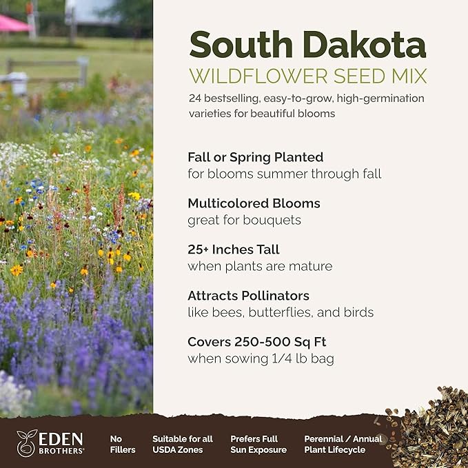 Eden Brothers South Dakota Wildflower Mixed Seeds for Planting, 1/4 lb, 120,000+ Seeds with Sweet Alyssum, Toadflax | Attracts Pollinators, Plant in Spring or Fall, Zones