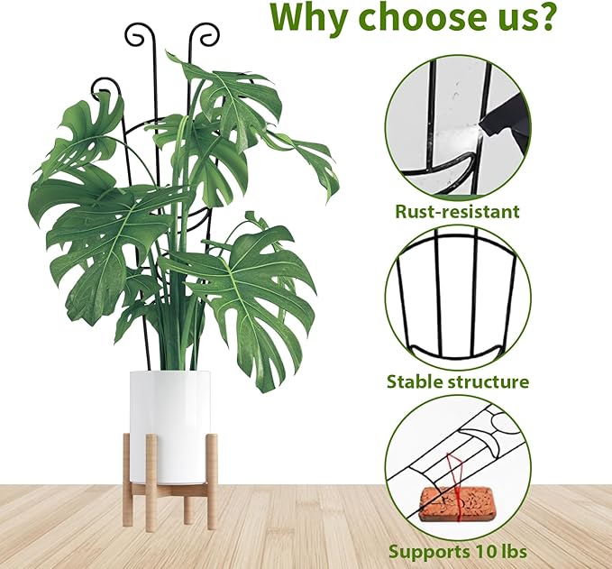 Garvee 6 Pack 30'' Plant Trellis for Climbing Plants Indoor, Plant Climber Support Indoor Outdoor, Rust-Resistant Sturdy Metal Trellis for Potted Plants Ivy Pothos Monstera Hoya Flower Vine
