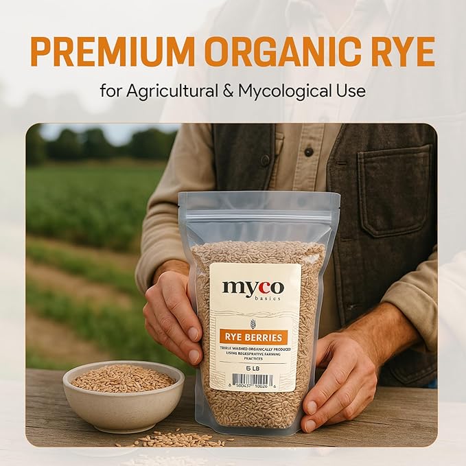 Bulk Rye Berries - Certified 100% Organic - Extra Clean - Great for Mushroom Spawn, Cooking, Brewing & Distilling - Triple Washed, non-GMO and in Resealable Bag - by Mycology Basics (10 lbs)