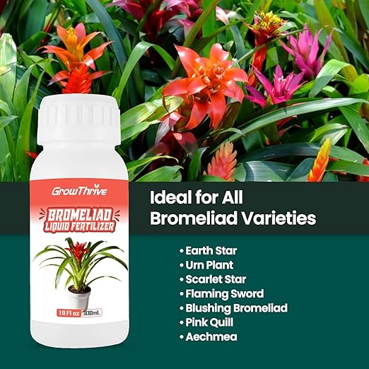 Bromeliad Liquid Fertilizer – 10 oz Organic Plant Food for Bromeliads, Air Plants & Tillandsia | Natural Probiotic Formula, Enhances Leaf Growth, Root Strength & Flower Color