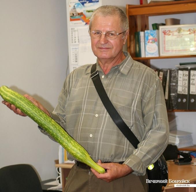 Seeds4planting - Seeds Cucumber Chinese Miracle Long Heirloom Vegetable Non GMO (20 Seeds)
